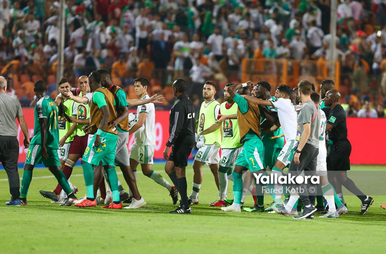 مشادة بين لاعبي الجزائر والسنغال