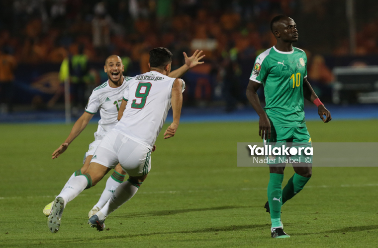 احتفال لاعبي الجزائر بعد هدف بونجاح في السنغال