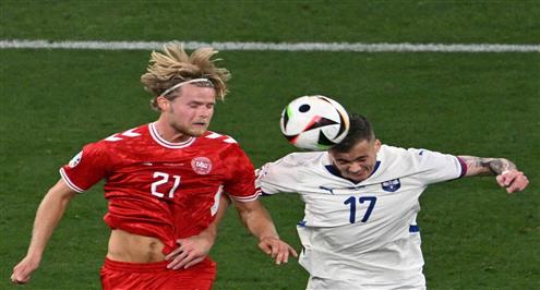 صور من مباراة الدنمارك وصربيا