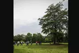 galleryImg