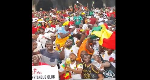 احتفال جماهير غينيا بعد التأهل إلى ربع نهائي كأس أمم أفريقيا