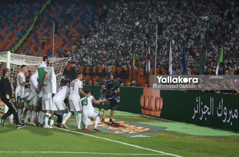 احتفال لاعبي الجزائر بعد الفوز بنهائي إفريقيا
