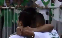 هدفا الأهلي فى تركتور