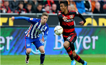 اهداف مباراة باير ليفركوزن وهيرتا برلين