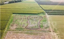 رسم كأس العالم بطريقة مختلفة فى إيطاليا