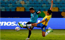 هدفا مباراة البرازيل والإكوادور