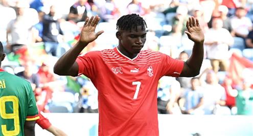 هدف سويسرا في الكاميرون ( إمبولو بريل )