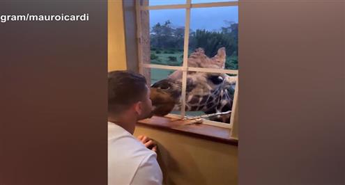 ايكاردي يقضي اجازته في رواندا