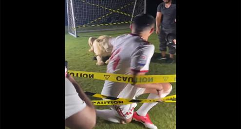 بعد زئير الأسد.. مانولاس لاعب الشارقة الجديد ينسحب من جلسة التصوير