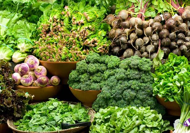 أهمية تناول الخضروات الورقية في رمضان                                                                                                                                                                   