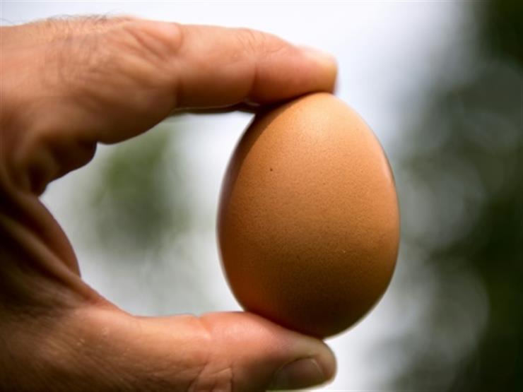  ايطاليا تعلن العثور على بيض ملوث بالمبيدات في اسواقها