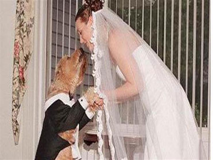 الزواج من كلب