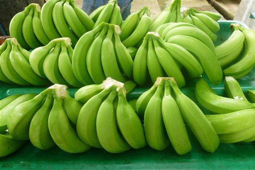 fresh-green-banana-01-1513850317_p_3534139_668450