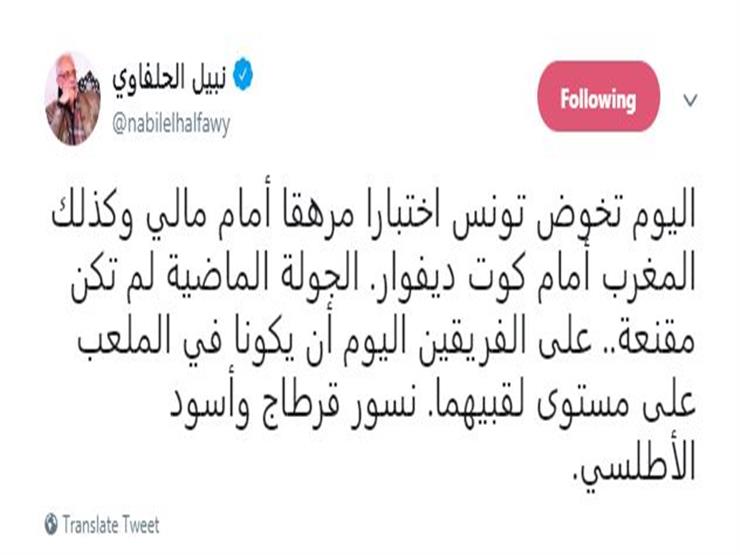 نبيل الحلفاوي