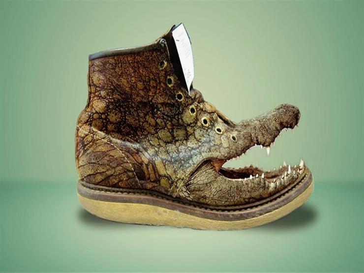 الحذاء التمساح