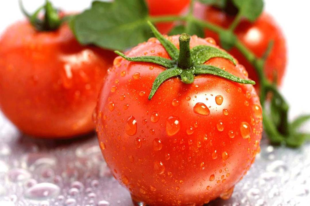 فوائد-الطماطم