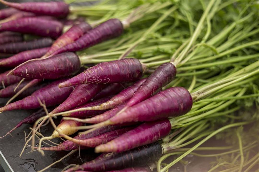 purple-carrots.838x0_q80