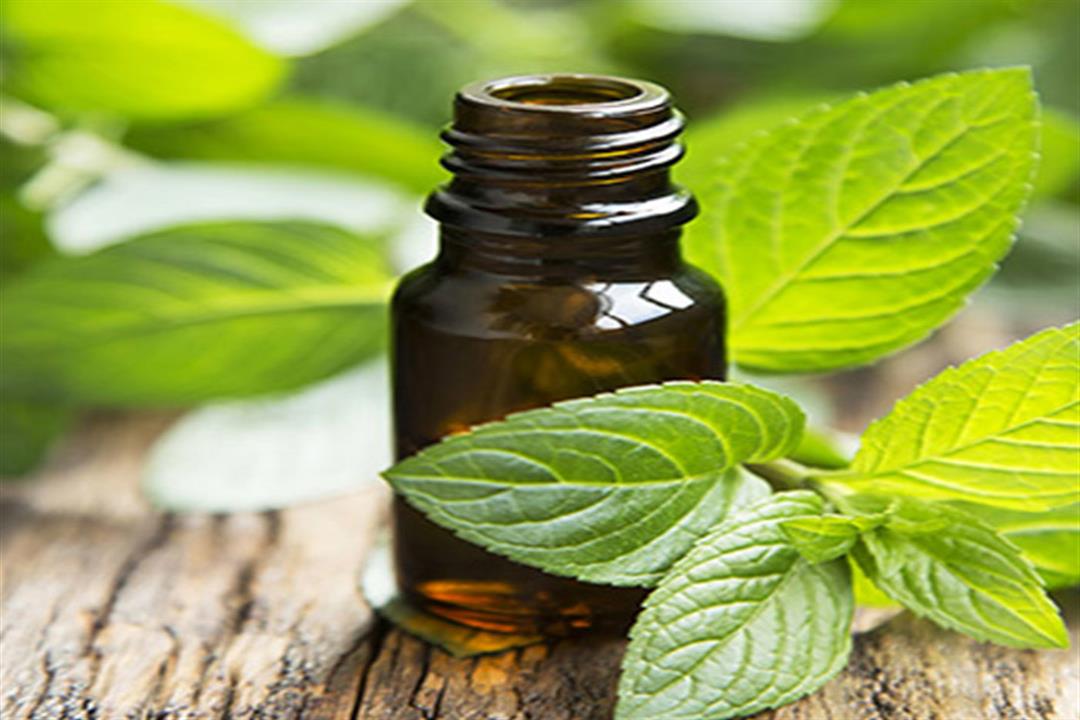 the-green-leaf-herbal-Peppermint-oil