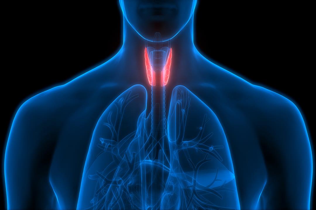 san-rossore-tiroide