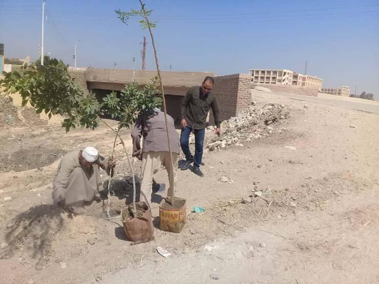 حملات نظافة مكبرة بقرى أبوقرقاص في المنيا (1)