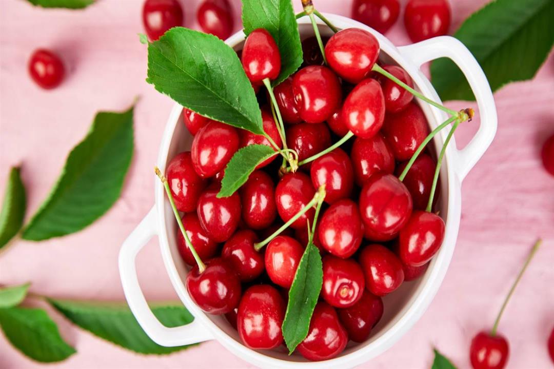 cherries_envat-1280x720
