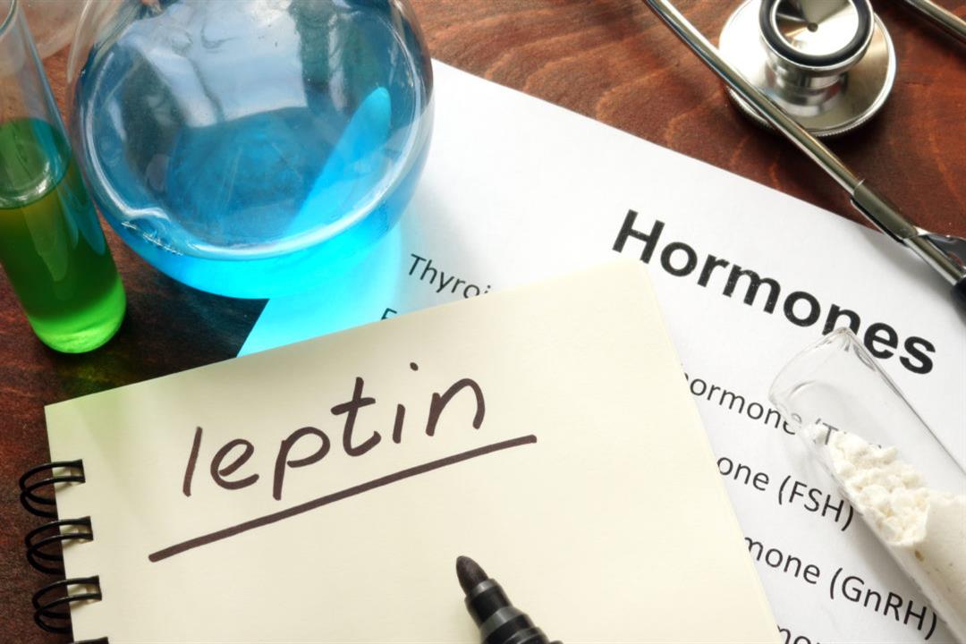 leptin-insulin-resistance-labs-functional-medicine-1080x675