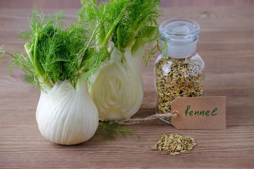 fennel-bulb-seeds-june032019-min-min