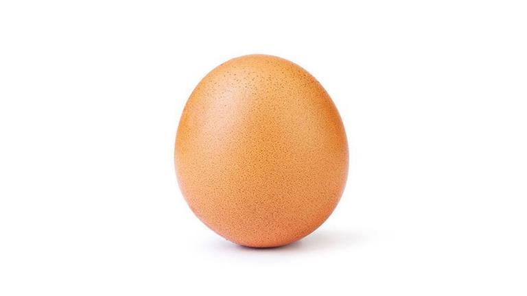صورة البيضة.. الأكثر تفاعلا على إنستجرام