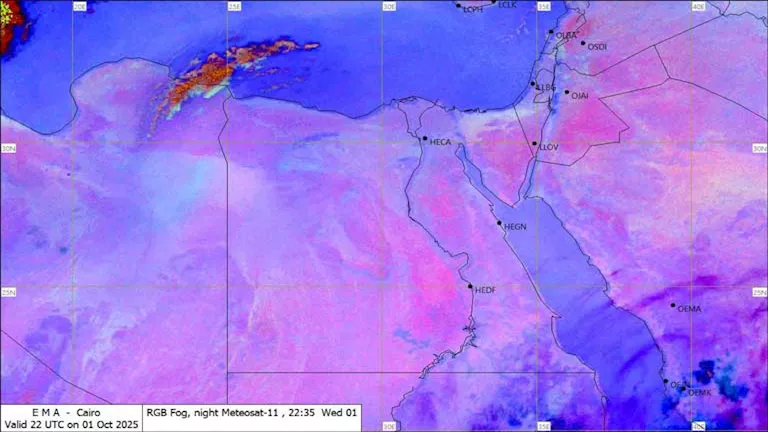 559146776_1218114760347089_6031129401559590108_n