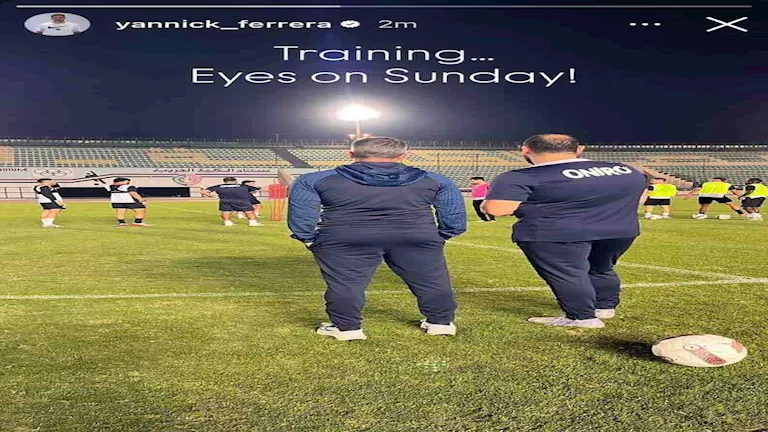 ستوري ياينك فيريرا