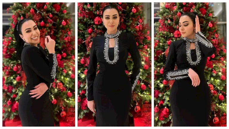 ميرهان حسين