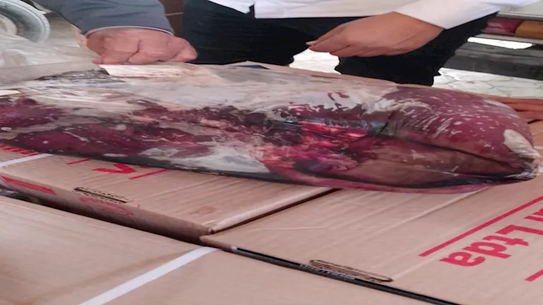 ضبط كبده منتهية الصلاحية بالفيوم