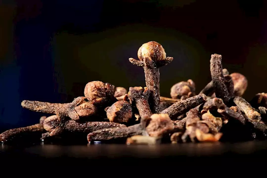 مضغ القرنفل