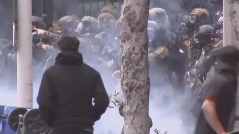 28ede680-441f-11f0-b1cb-ebed3322b15d.png_11zon