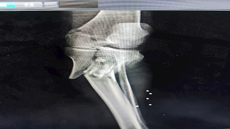 FB_IMG_1753086116787