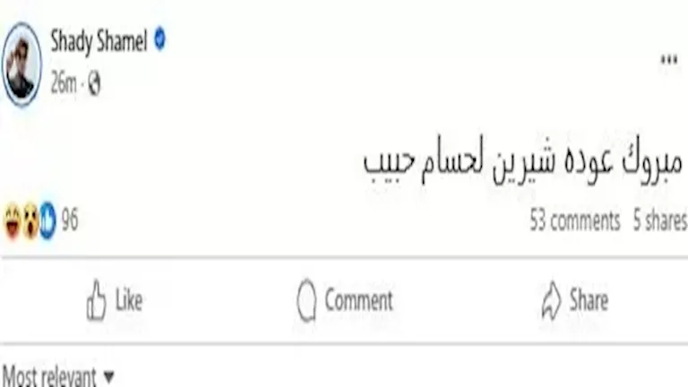 شادي شامل على فيسبوك