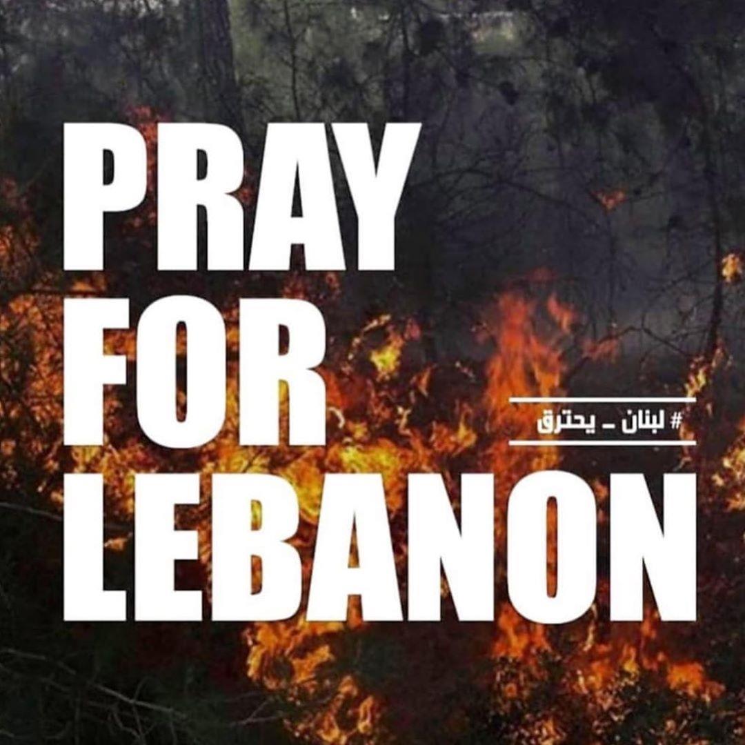 نيللي كريم تتضامن مع حريق غابات لبنان