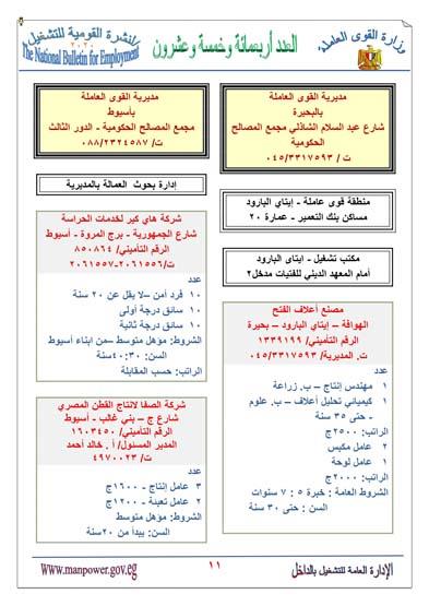 القوى العاملة تعلن توافر 4700 فرصة عمل (1)