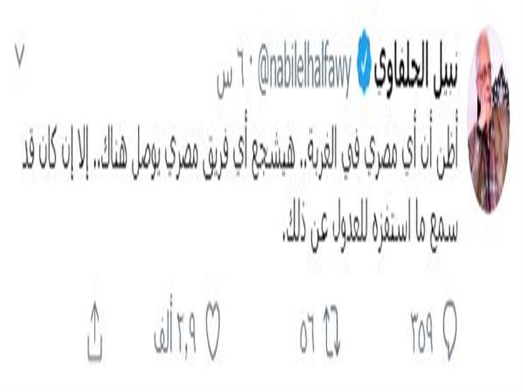 نبيل الحلفاوي