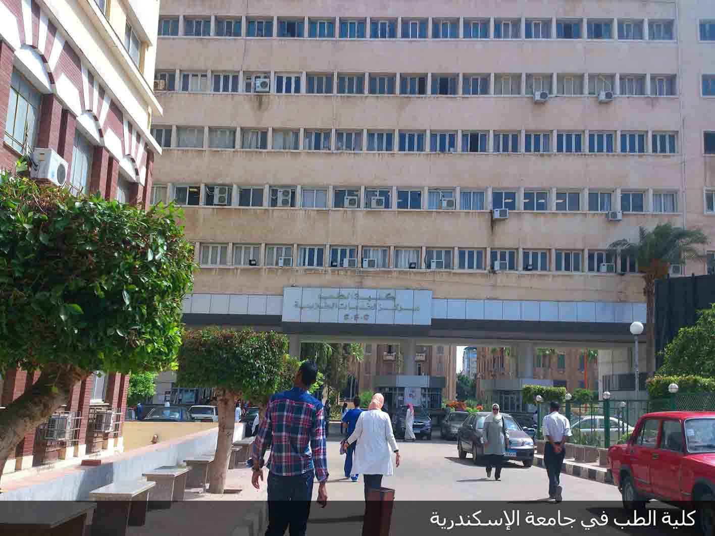 5 كلية الطب في جامعة الإسكندرية