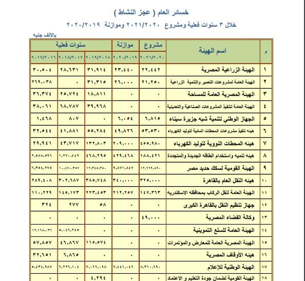 خسائر الهيئات الاقتصادية