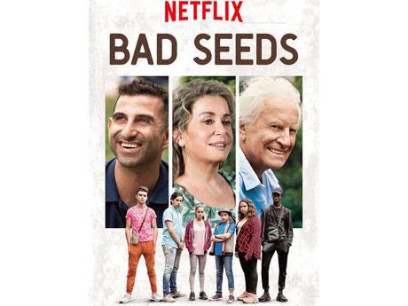 bad seeds