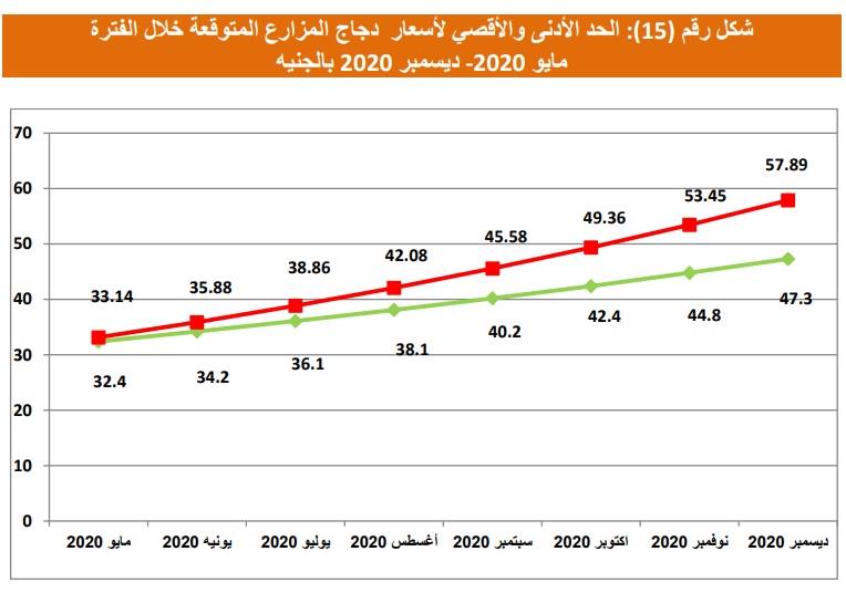 التوقعات لأسعار الدواجن حتى نهاية العام_1