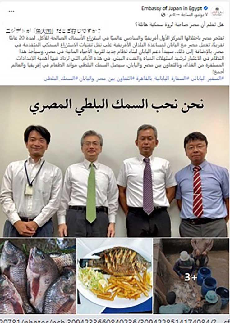 السفارة اليابانية بالقاهرة تشيد بدور مصر في استزراع الأسماك