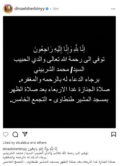 دينا الشربيني على انستجرام