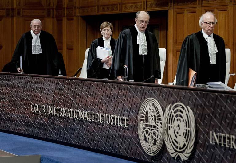 صورة 5 العدل الدولية