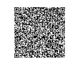 QR code 4