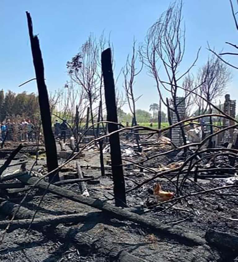 حريق التهم حظيرة ماشية في بني سويف (2)
