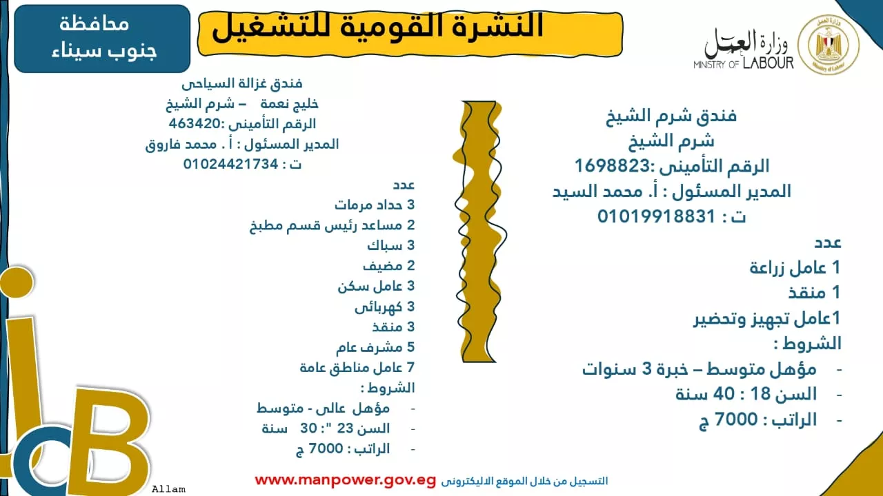 فرص عمل جديدة متاحة في مختلف المحافظات (26)