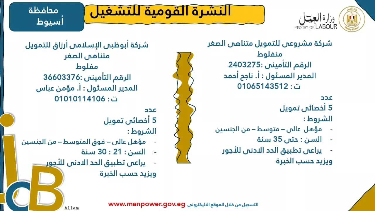 فرص عمل جديدة متاحة في مختلف المحافظات (29)